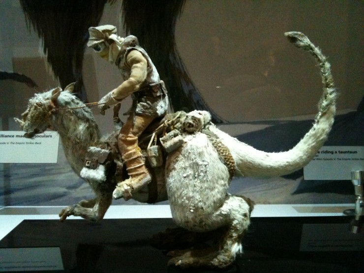 Tauntaun